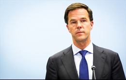 Hà Lan: Giai đoạn đầu chiến dịch chống IS kéo dài 6-12 tháng