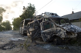 Ukraine: Dân quân kiểm soát sân bay Donetsk