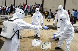 Nguy cơ virus Ebola "nhập cảnh" Pháp và Anh 