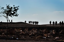 IS chiếm 3 quận của thành phố chiến lược Kobane