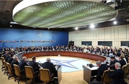 Cựu Tư lệnh NATO: Liên minh không cần Ukraine