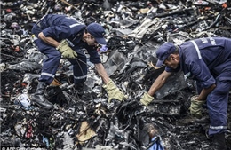 Nối lại tìm kiếm tại hiện trường rơi máy bay MH17 