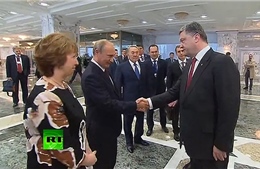Tổng thống Nga - Ukraine bàn cách khôi phục hòa bình 
