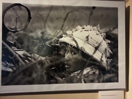 Dấu ấn Việt Nam trong triển lãm ảnh của nhiếp ảnh gia Séc 