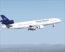 Máy bay chở khách Indonesia phải hạ cánh ở Sri Lanka 