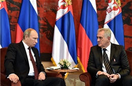 Tổng thống Nga thăm chính thức Serbia 