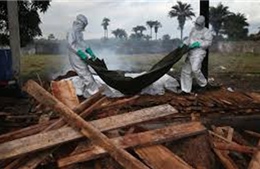 Mỹ yêu cầu sử dụng căn cứ Tây Ban Nha để đối phó dịch Ebola 