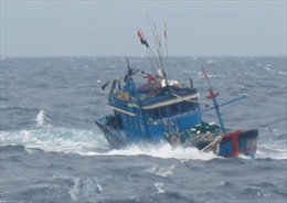 Tìm thấy 7 thuyền viên gặp nạn trên vùng biển Cà Mau 