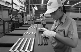 Để doanh nghiệp vừa và nhỏ Nhật Bản đầu tư vào Việt Nam 