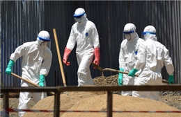 EU viện trợ 1 tỷ euro cho Tây Phi chống Ebola