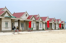 Đảo Trần đã không còn trần trụi