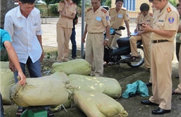 Lào Cai: Mật phục bắt giữ lượng hàng lậu lớn 