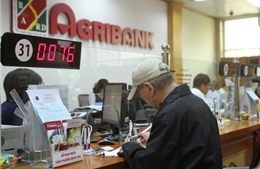 Agribank hạ các mức lãi suất từ ngày 29/10 