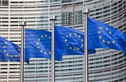 EC nhiệm kỳ mới: sự trông đợi đầy sốt ruột 