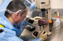 Canada tăng đầu tư cho nghiên cứu vaccine Ebola