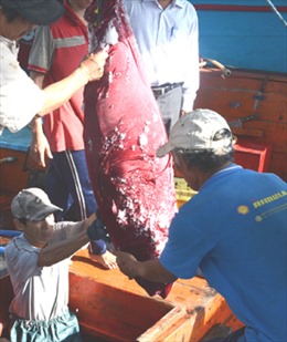 Thử nghiệm thành công máy câu cá ngừ đại dương do Việt Nam sản xuất