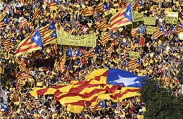 Catalonia vẫn thăm dò dư luận về độc lập