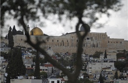 Palestine hối thúc LHQ hành động chấm dứt bạo lực tại Đông Jerusalem 