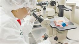 Rà soát việc mua trang thiết bị y tế của Công ty Bio-Rad 