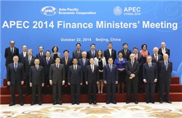 Thành tựu 25 năm Hợp tác APEC và đóng góp của Việt Nam 