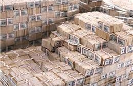 Ukraine: Dự trữ ngoại tệ giảm xuống thấp nhất 9 năm 