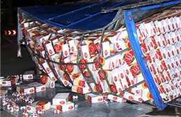 Lật xe tải, hàng trăm thùng bia văng dưới chân cầu Sài Gòn 