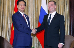 Thủ tướng tiếp Thủ tướng Liên bang Nga và Thủ tướng Australia