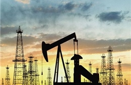 Giá dầu mỏ tiếp tục giảm đến năm 2015