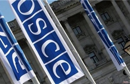 Nga tố OSCE đứng về phía Ukraine 