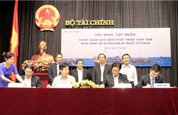 Bảo hiểm Bảo Việt đồng hành cùng ngư dân bám biển 