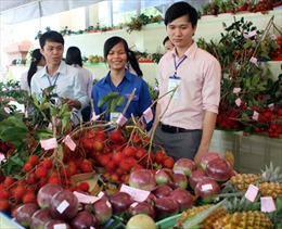 Cơ hội từ xuất khẩu trái cây