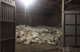 Liên tiếp bắt giữ hàng lậu tập kết tại Móng Cái