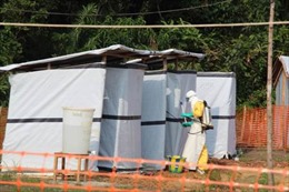 WHO dự báo số ca nhiễm Ebola sẽ giảm mạnh