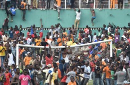 CĐV tràn sân gây rối tại Cúp các quốc gia châu Phi