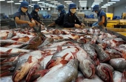 Việt Nam không bán phá giá cá da trơn vào Hoa Kỳ