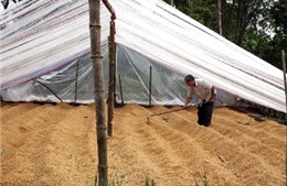 'Kho thóc tình thương' - mô hình của dân, do dân và vì dân