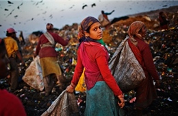 Nỗi buồn man mác trên các bãi rác Ấn Độ