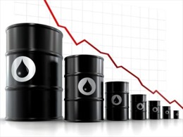 Giá dầu châu Á biến động trước thềm cuộc gặp OPEC 