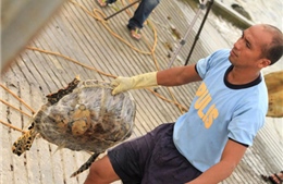 Philippines kết án 9 ngư dân Trung Quốc đánh cá trộm