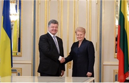 Ukraine sẽ gia nhập NATO qua trưng cầu dân ý