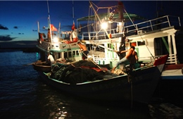 Ngư dân Quảng Ngãi gặp nguy mùa biển động