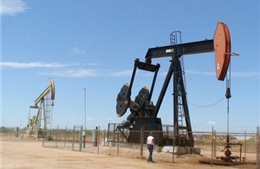 Nga-Iran hợp tác điều chỉnh thị trường dầu mỏ 