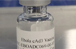 Mỹ thử nghiệm thành công vaccine phòng Ebola trên người 