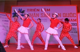 Nhiều hoạt động giao lưu văn hóa Việt – Hàn tại lễ hội nhân sâm