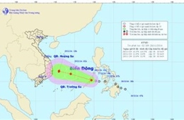 Áp thấp nhiệt đới trên Biển Đông gây gió mạnh cấp 9
