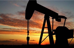 Thị trường dầu mỏ &#39;điêu đứng&#39; vì quyết định của OPEC