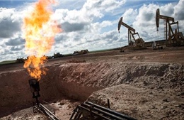 OPEC thiệt hại nặng do giá dầu giảm mạnh