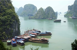 Lượng khách đến Việt Nam từ các nền kinh tế APEC chiếm hơn 85%