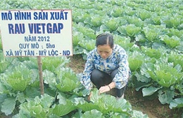 Người tiêu dùng ngại sản phẩm nông nghiệp an toàn