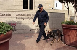 Đại sứ quán Canada tại Ai Cập đóng cửa vì lý do an ninh